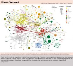 postdoctoral researcher at the Center for Complex Network Research at Northeastern University and a visiting researcher at the Center for Cancer Systems Biology at Dana-Farber Cancer Institute