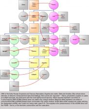 engineer and computer graphics pioneer; co-founder of Pixar; founder of Altamira Software