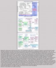 Co-Director, Center for Evolutionary Psychology, Professor, Integrative Anthropological Sciences, University of California, Santa Barbara