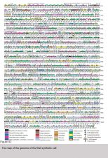 Genome Scientist, J. Craig Venter Institute; Author, A Life Decoded