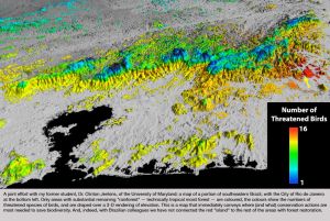 Doris Duke Professor of Conservation Ecology; Author, The World According to Pimm: a Scientist Audits the Earth