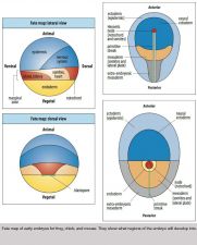 Biologist, University College; Author, Six Impossible Things to Do Before Breakfast