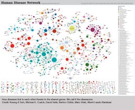 Network scientist; Distinguished University Professor at Northeastern University; director, Center for Complex Network Research; Author, Bursts: The Hidden Pattern Behind Everything We Do
